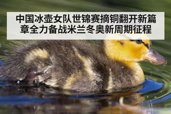 中国冰壶女队世锦赛摘铜翻开新篇章全力备战米兰冬奥新周期征程