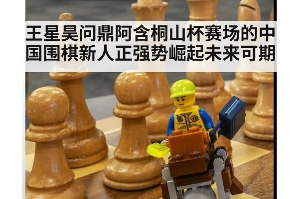 王星昊问鼎阿含桐山杯赛场的中国围棋新人正强势崛起未来可期