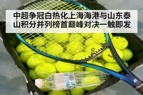 中超争冠白热化上海海港与山东泰山积分并列榜首巅峰对决一触即发